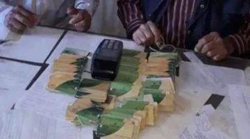 خطوة جديدة.. إضافة المواليد على بطاقة التموين 2026 عبر الرابط الرسمي